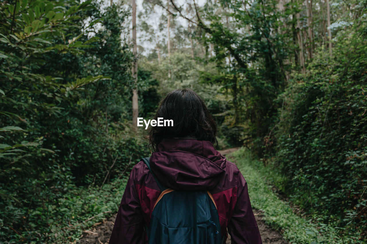 Rear view of woman standing amidst trees in forest