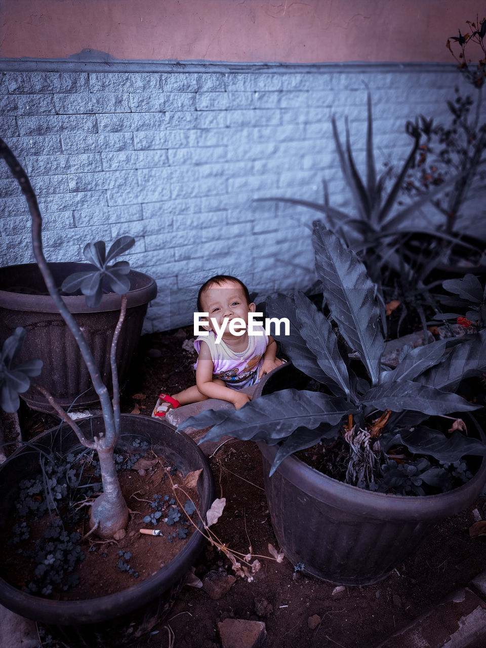 Portrait of smiling boy sitting behind potted plants against wall 