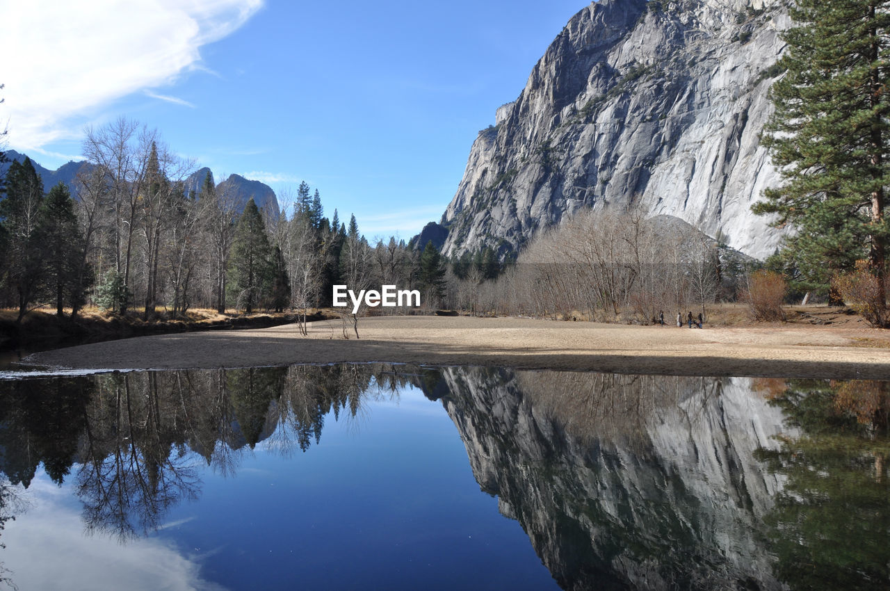 Mountains and trees at yosemite national park