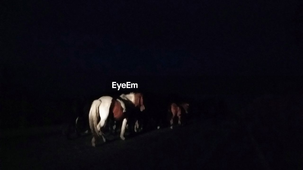 PANORAMIC SHOT OF PEOPLE IN THE DARK