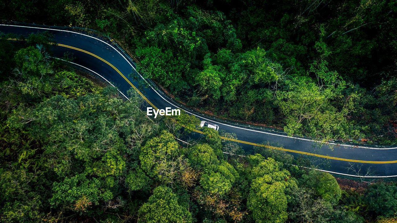 High angle view of road amidst trees in forest