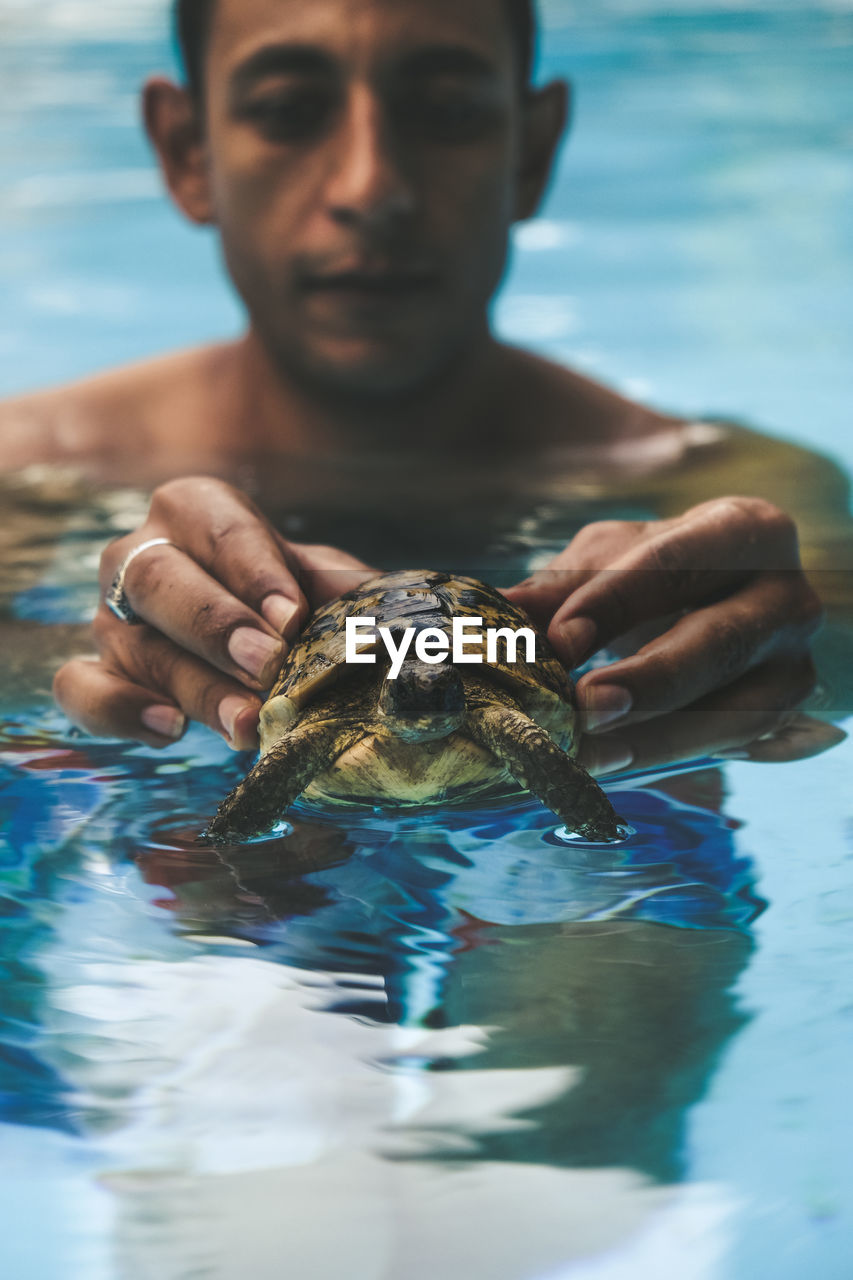 Mid adult man with turtle in swimming pool