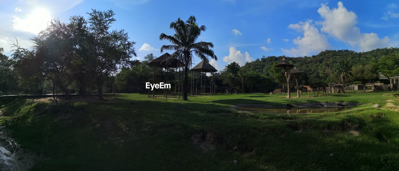 PANORAMIC VIEW OF GOLF COURSE AGAINST TREES