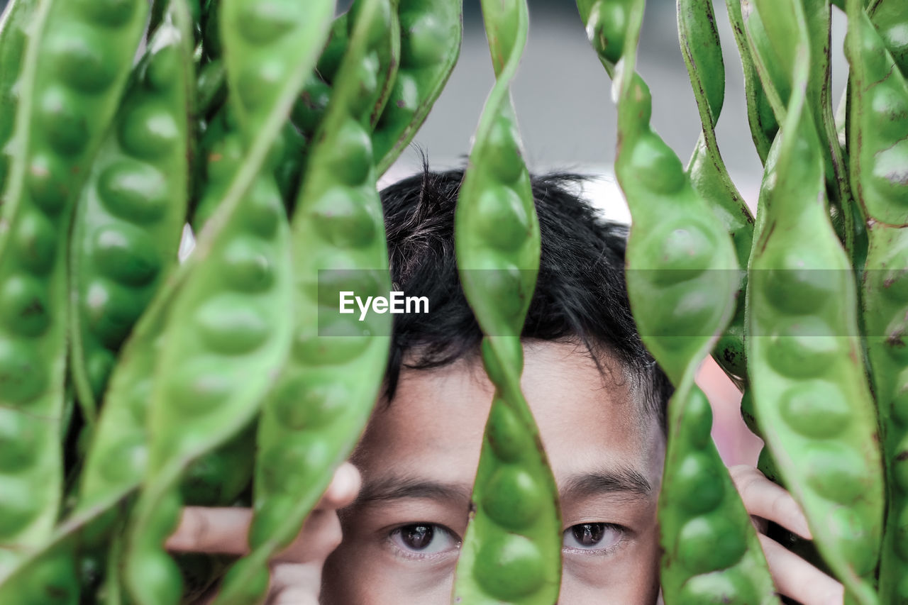Close-up portrait of boy looking through plants