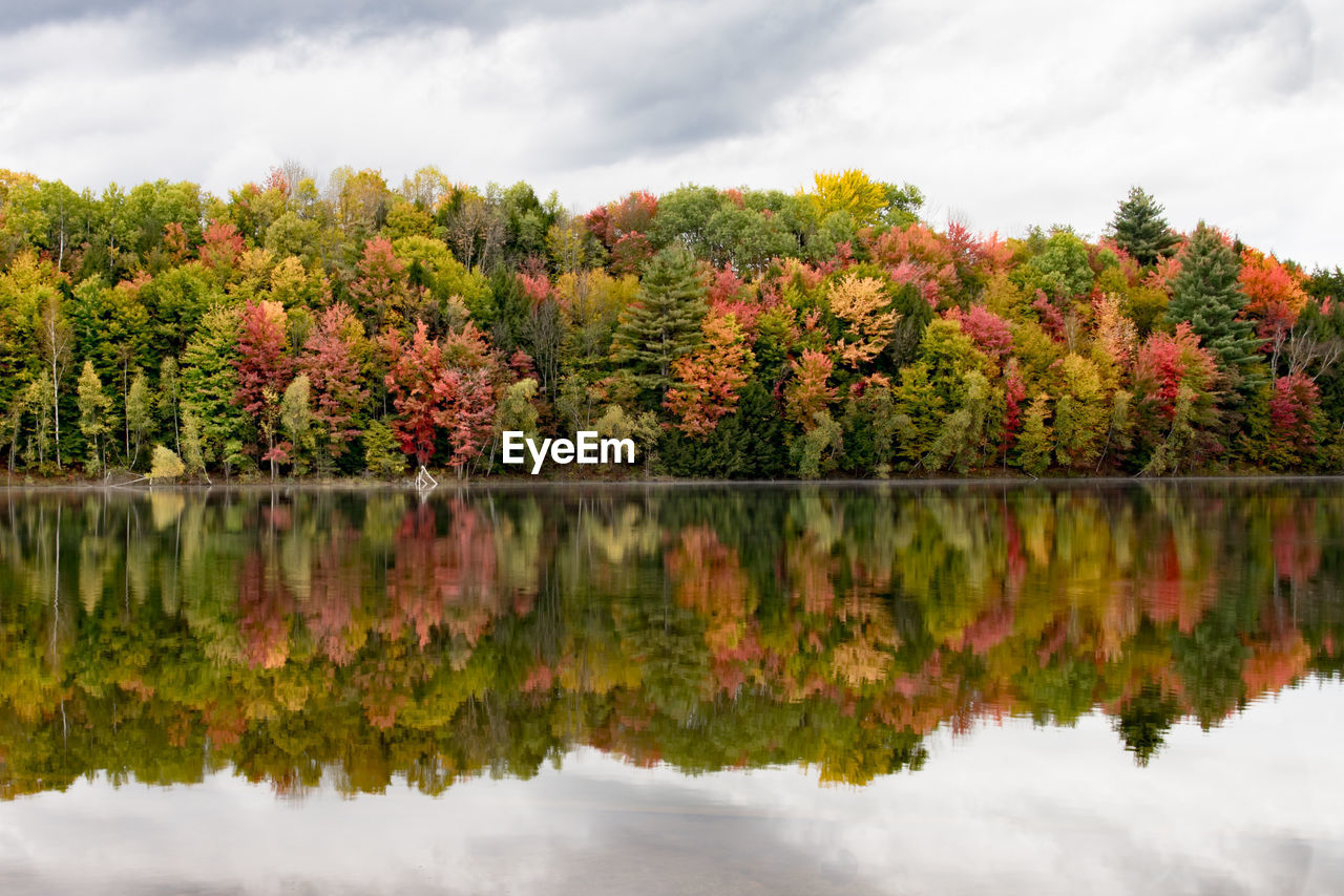 Reflection of trees in lake against sky during autumn