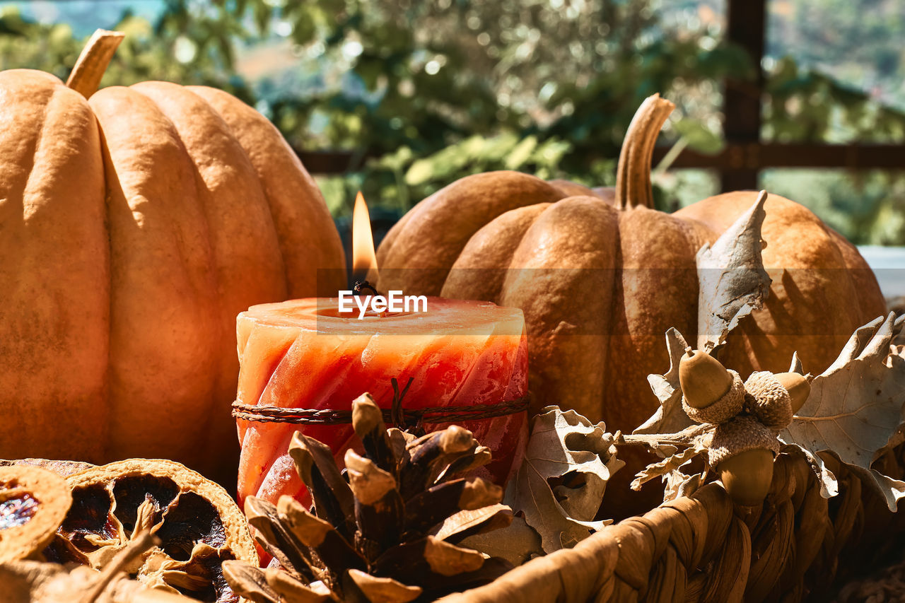 Cozy warm autumn composition with burning candle and pumpkins on knitted woolen plaid.