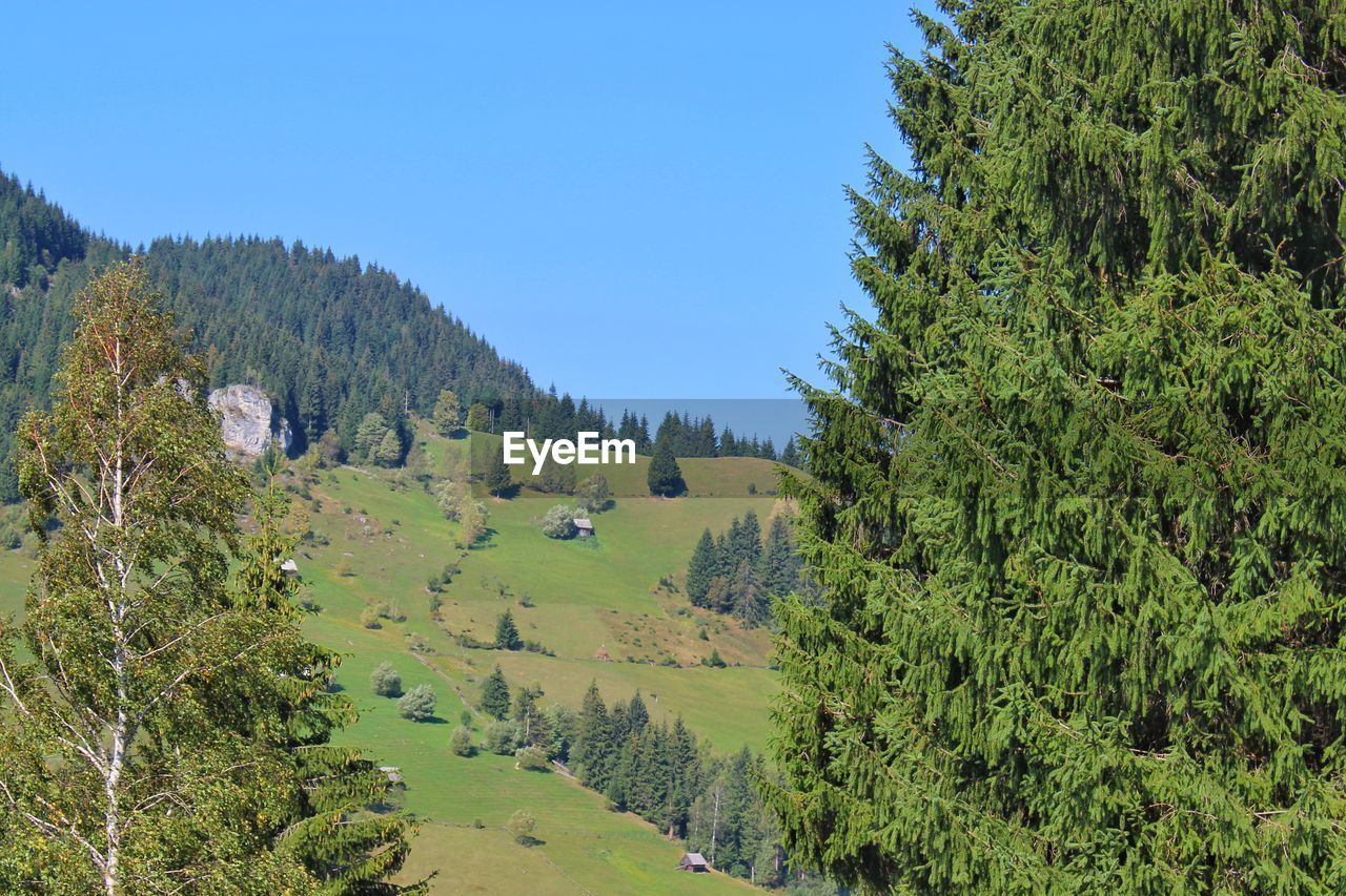 Scenic view of landscape against clear blue sky