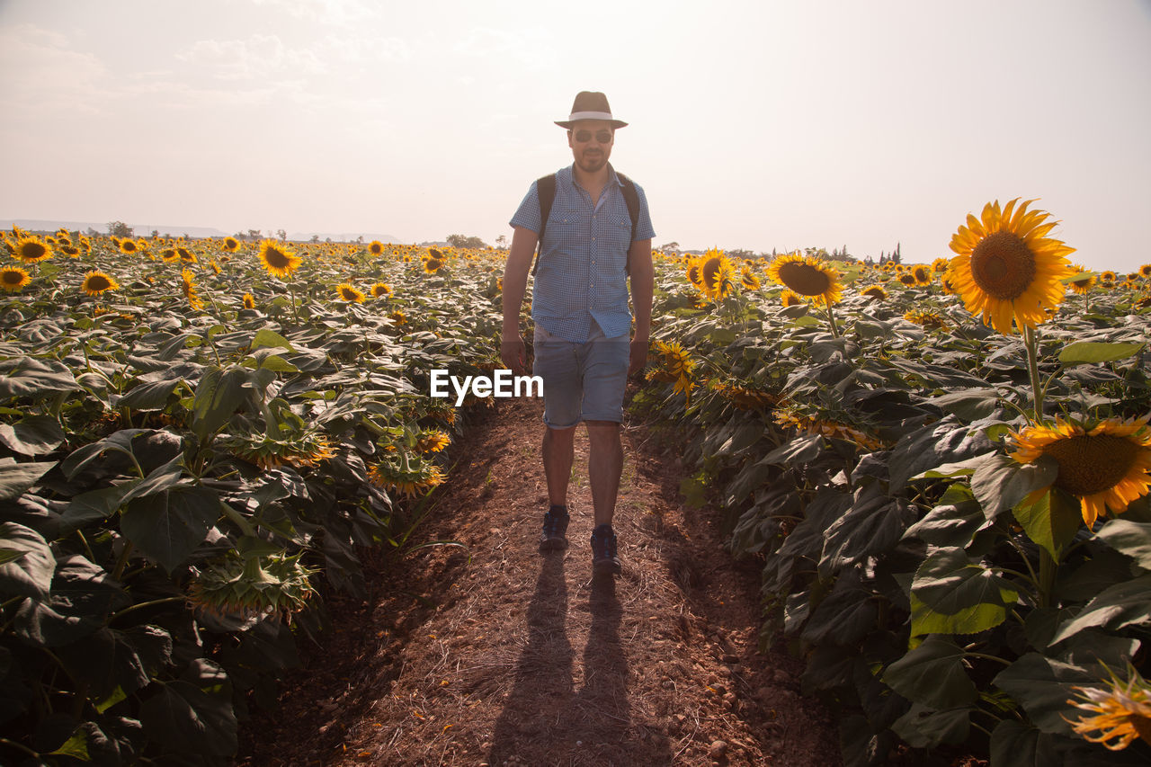 Portrait man wearing hat walking on sunflower field