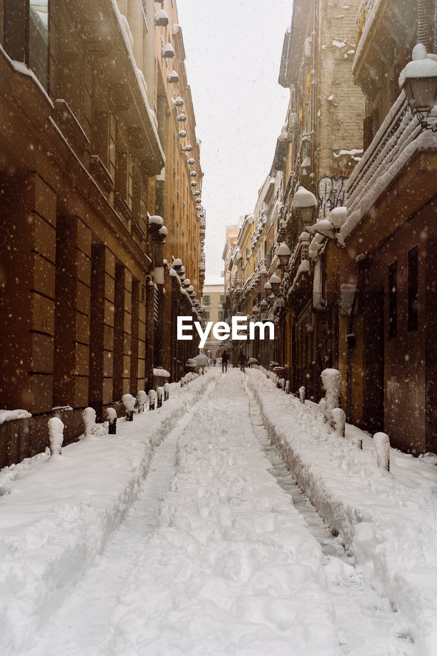 The collapsed trees in the streets of madrid, under the weight of the snow during the storm filomena