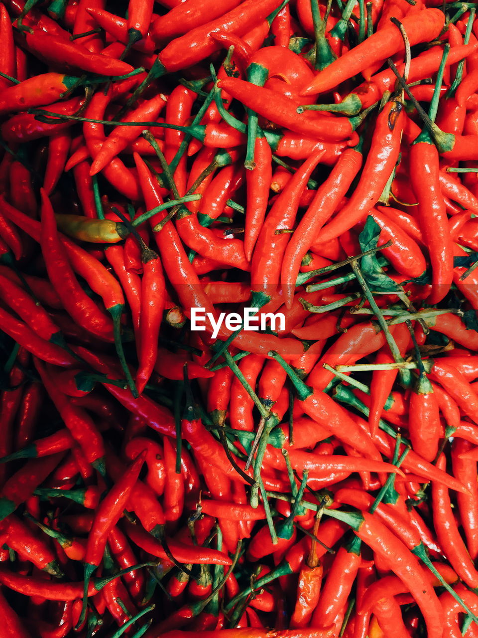 FULL FRAME SHOT OF RED CHILI PEPPER