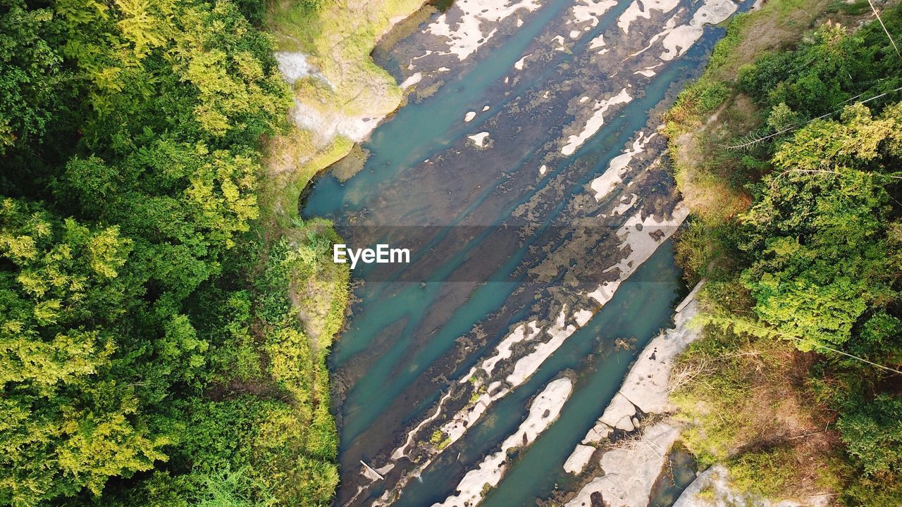 HIGH ANGLE VIEW OF TREES AND PLANTS ON LAND