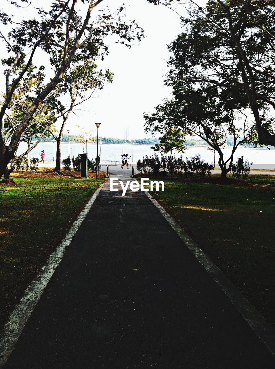 ROAD PASSING THROUGH LANDSCAPE