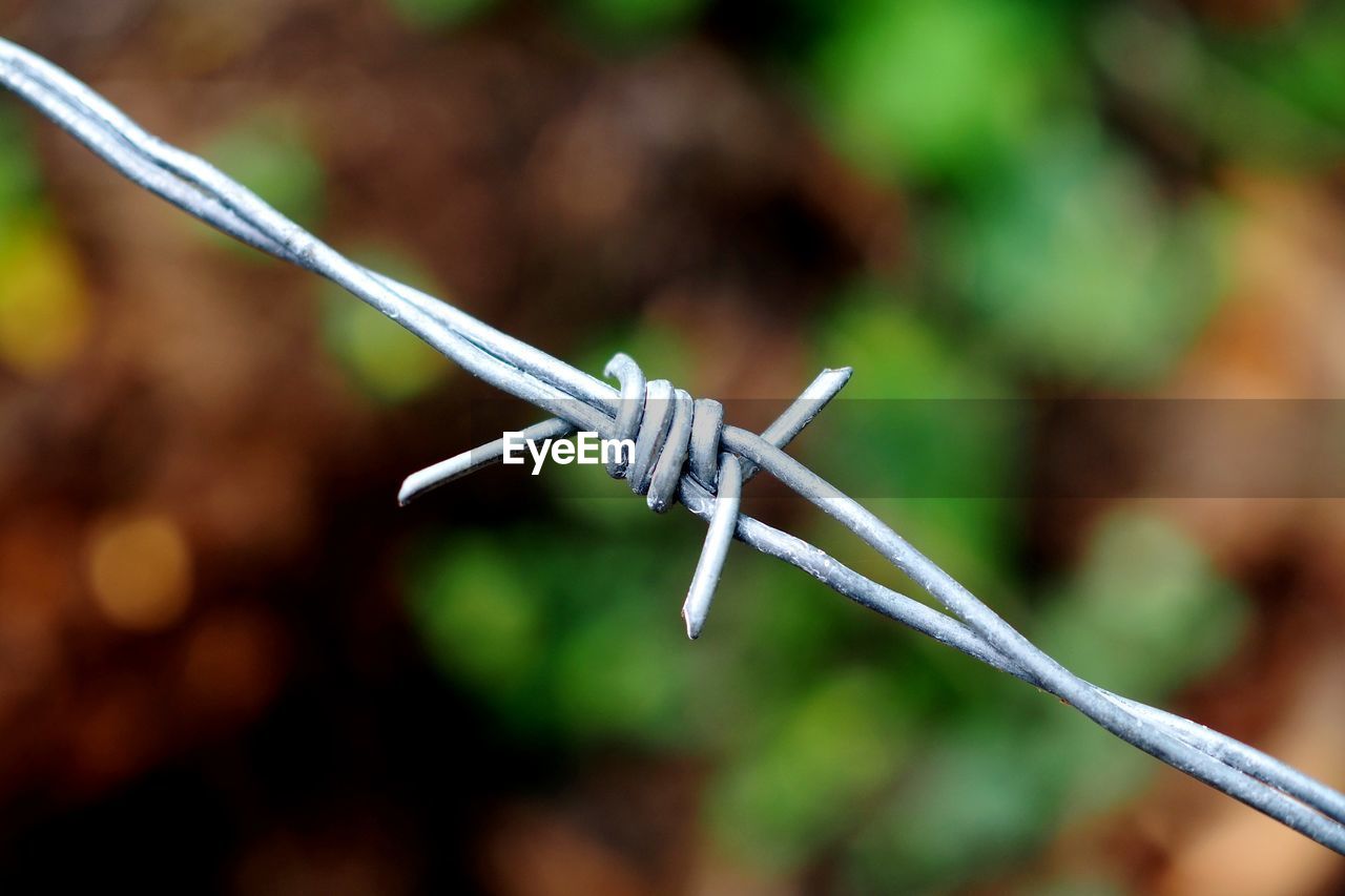 Close-up of barbed wire on fence