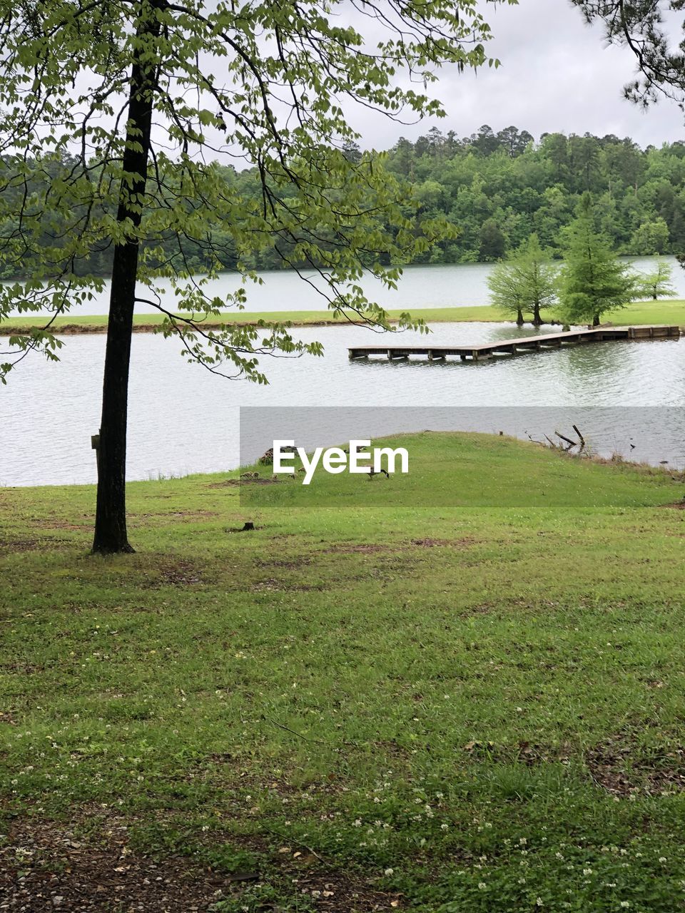 SCENIC VIEW OF GRASSY FIELD BY LAKE AGAINST SKY