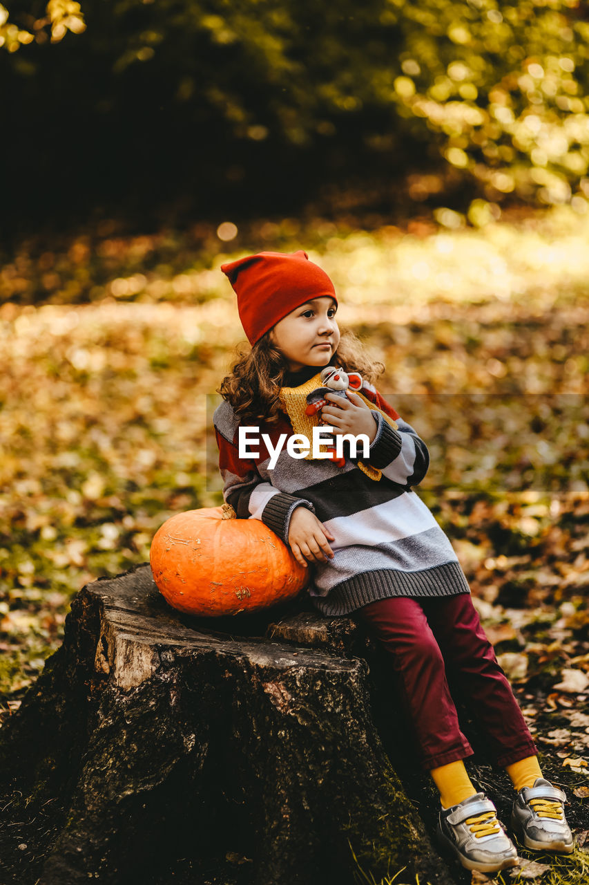 A little girl child in warm dress and a red hat is sitting with pumpkin on a stump in an autumn park