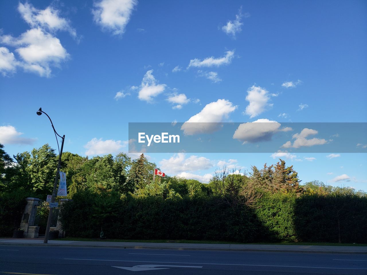 STREET AMIDST TREES AGAINST SKY