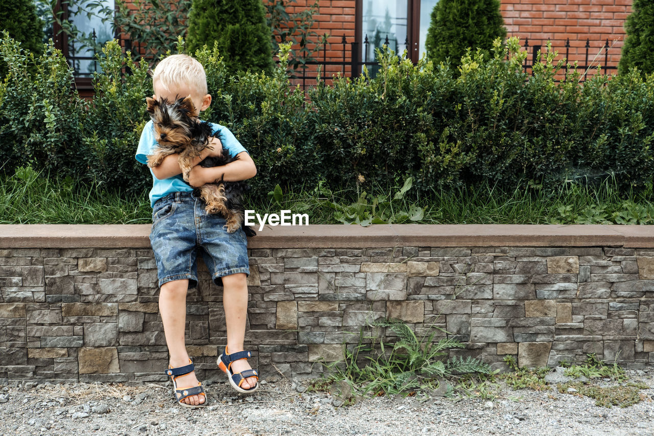 Boy with yorkshire terrier dog puppy. cute baby boy hugs york terrier puppy and siting 