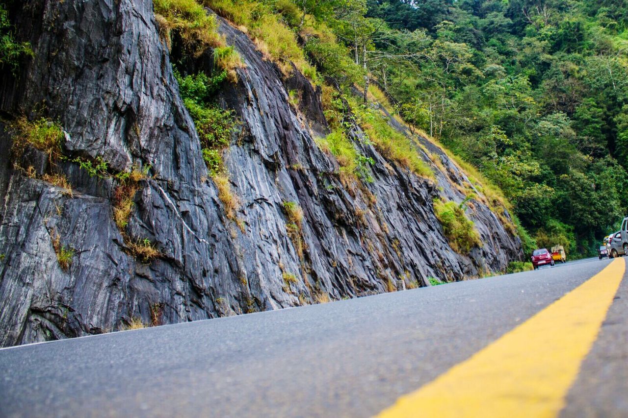 ROAD PASSING THROUGH TREES