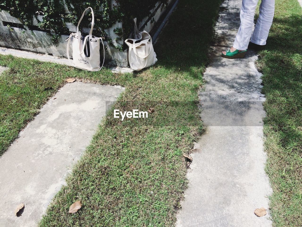 VIEW OF FOOTPATH IN GARDEN