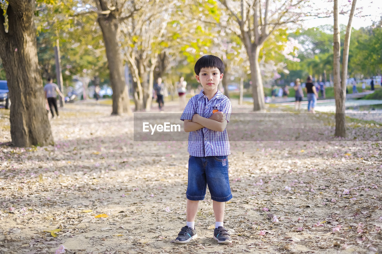 Portrait of cute boy standing against trees at park