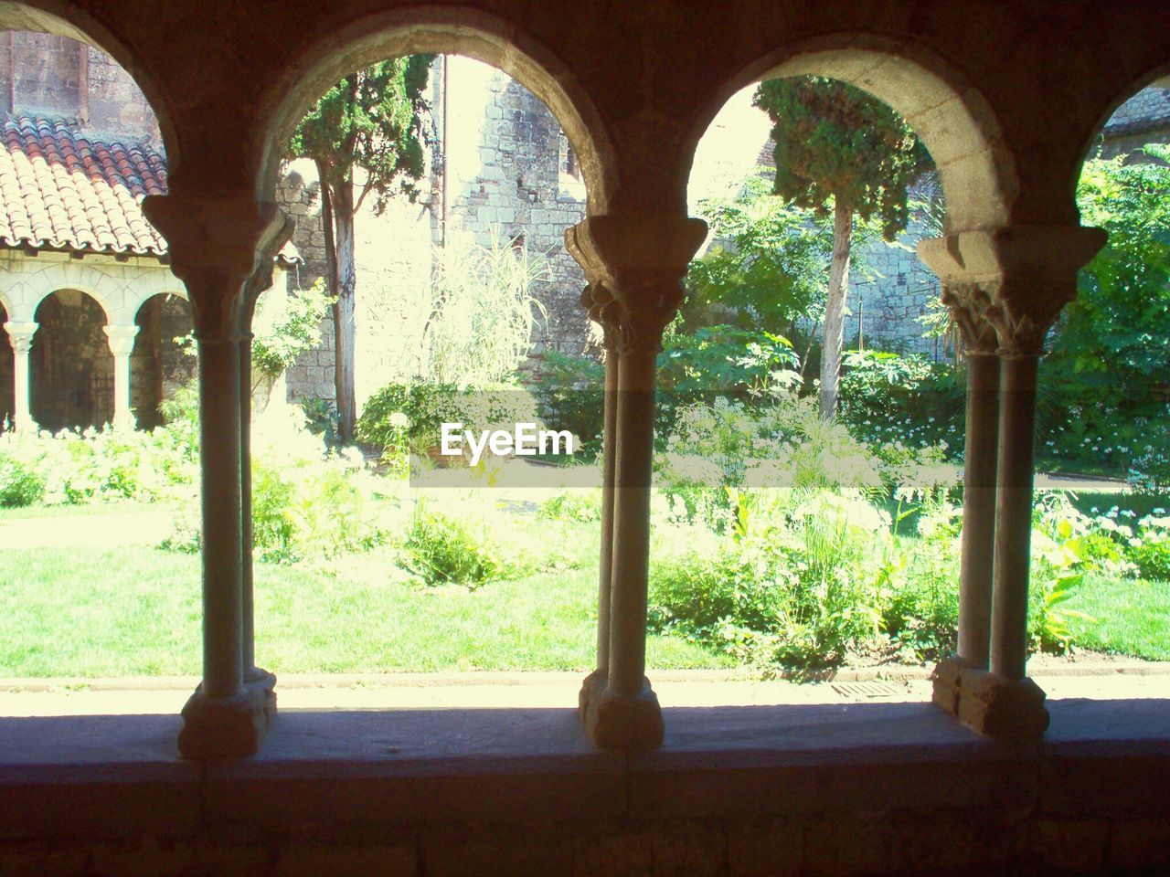 VIEW OF TREES