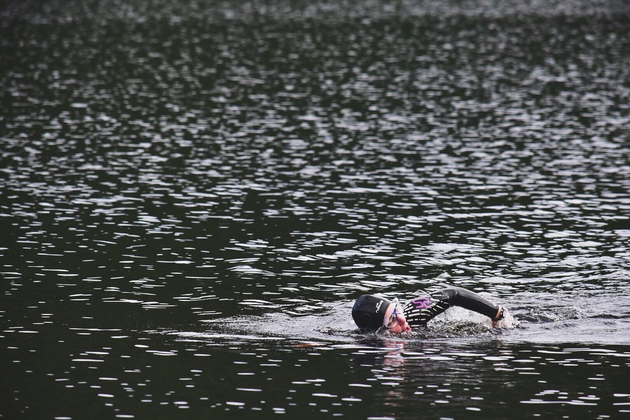 DUCKS SWIMMING IN LAKE