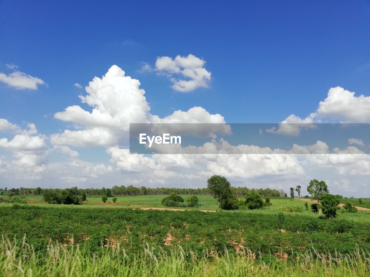 SCENIC VIEW OF FARM AGAINST SKY