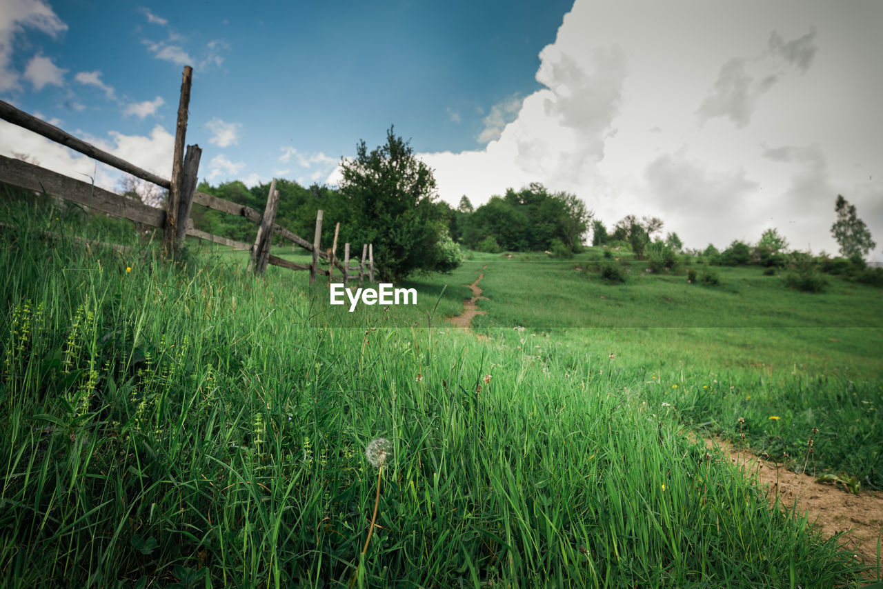 SCENIC VIEW OF FARMS AGAINST SKY