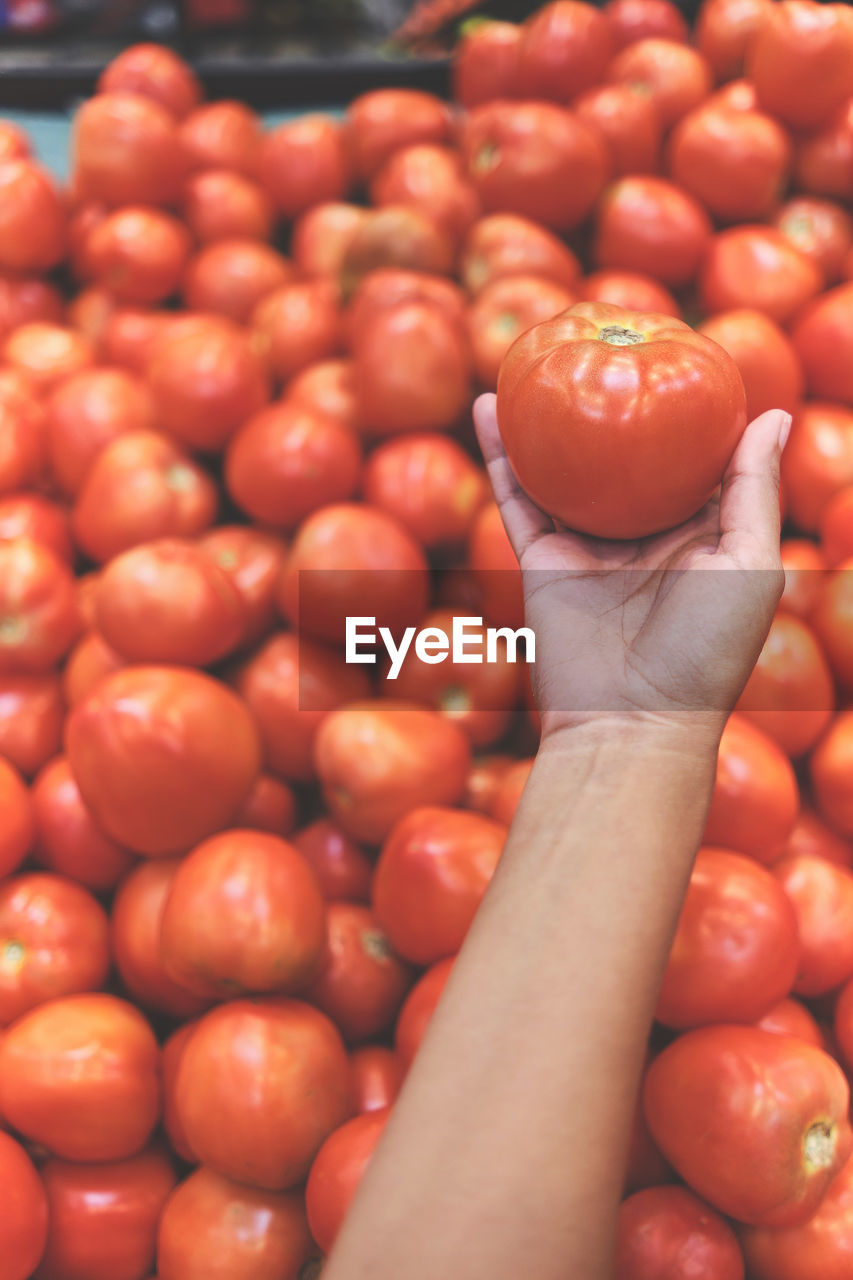 High angle view of tomatoes in market