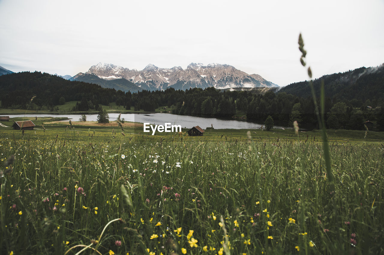 SCENIC VIEW OF LAND AGAINST SKY