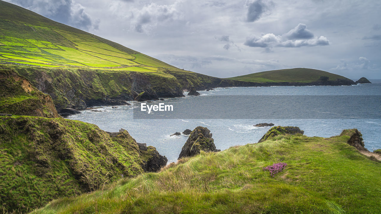 Bay surrounded by tall cliffs and islands of dingle peninsula, wild atlantic way, kerry, ireland