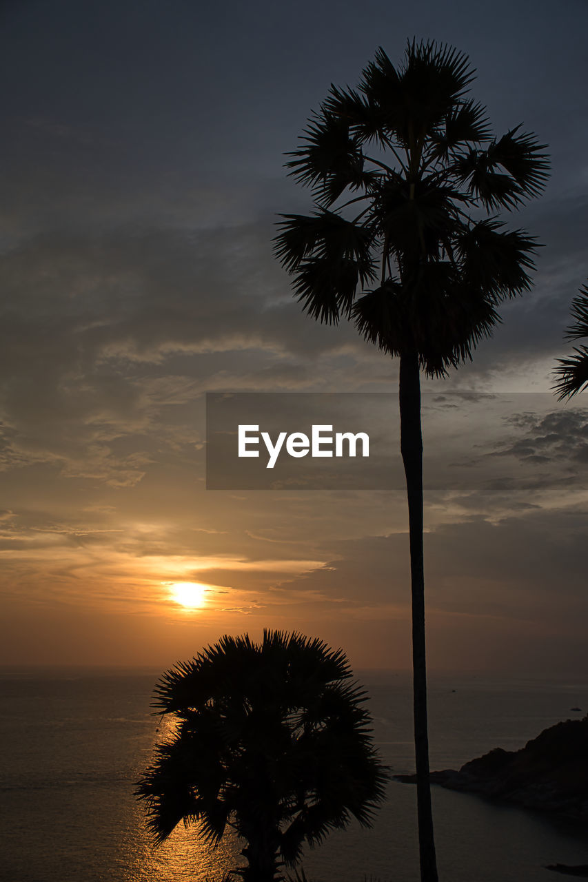 SILHOUETTE PALM TREE BY SEA AGAINST SUNSET SKY