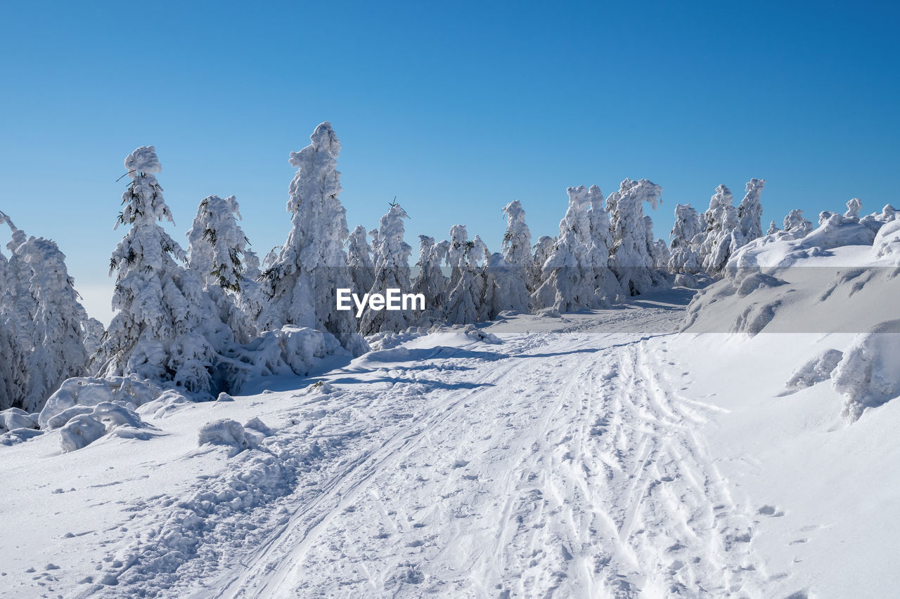 Winter landscape with path and trees under the snow. winter scenery.