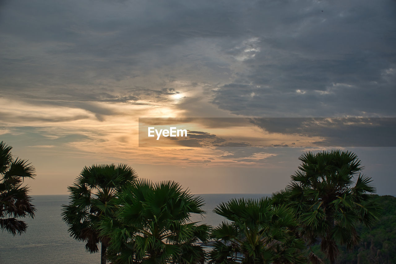 SCENIC VIEW OF PALM TREES AGAINST SKY DURING SUNSET