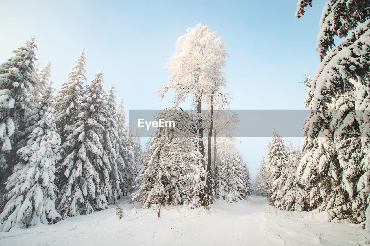 scenic view of snow covered landscape