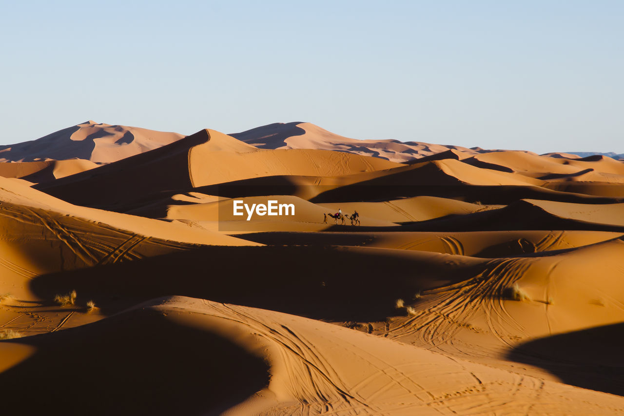 Scenic view of desert against clear sky