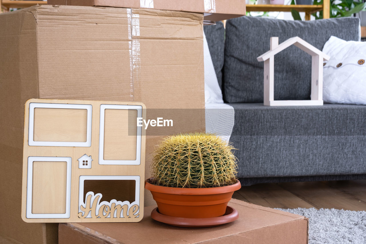 box, cardboard box, cardboard, container, flowerpot, plant, potted plant, furniture, nature, indoors, no people, houseplant, home ownership, domestic room, room, home interior, beginnings, living room, growth, architecture, lifestyles, domestic life, home, packing, crate, moving house