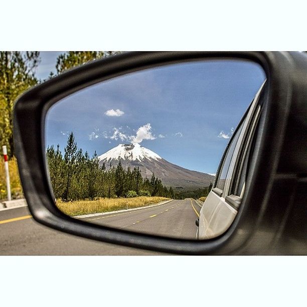 REFLECTION OF TREES ON ROAD