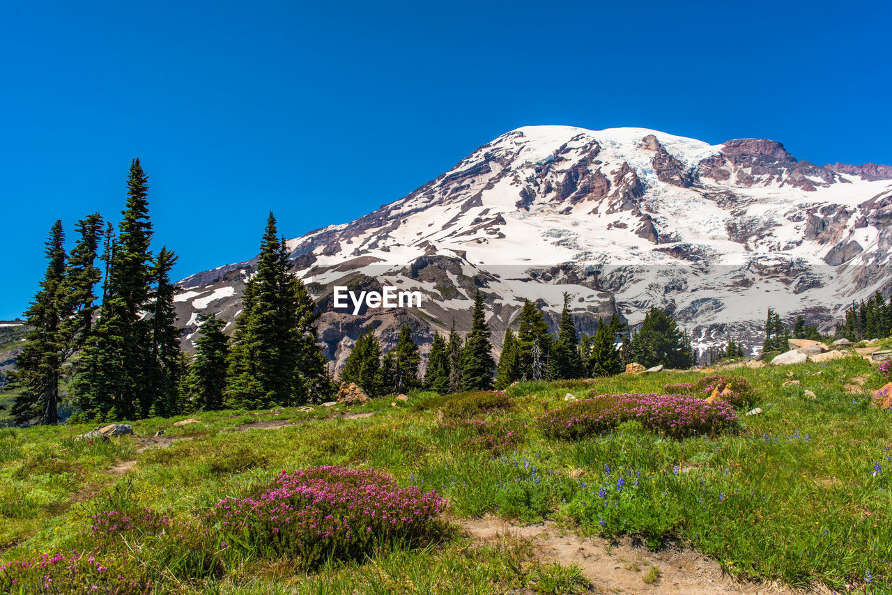 SCENIC VIEW OF MOUNTAINS AGAINST BLUE SKY