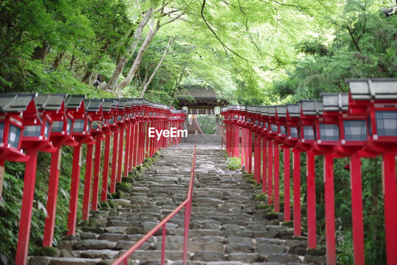 Footpath amidst lanterns at kifune shrine