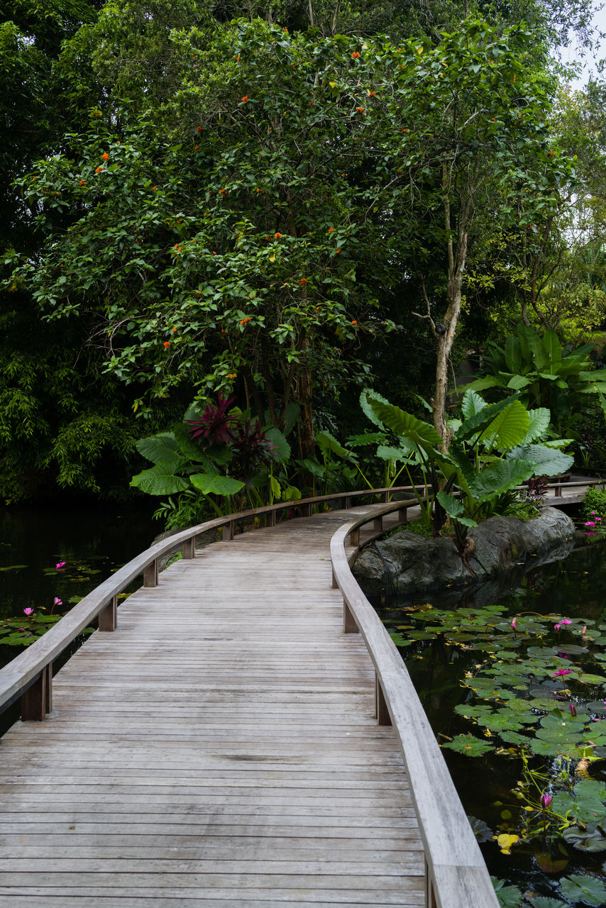 Wooden walkway leading through the pond