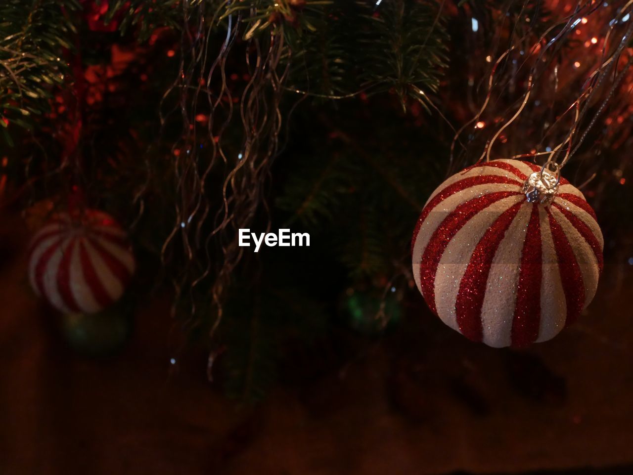 Close-up of christmas decoration hanging on tree