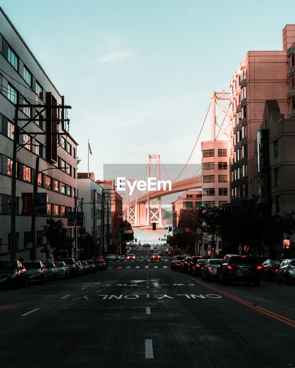 CITY STREET AMIDST BUILDINGS AGAINST SKY