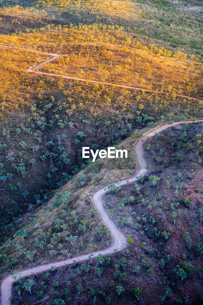 High angle view of road amidst trees in forest