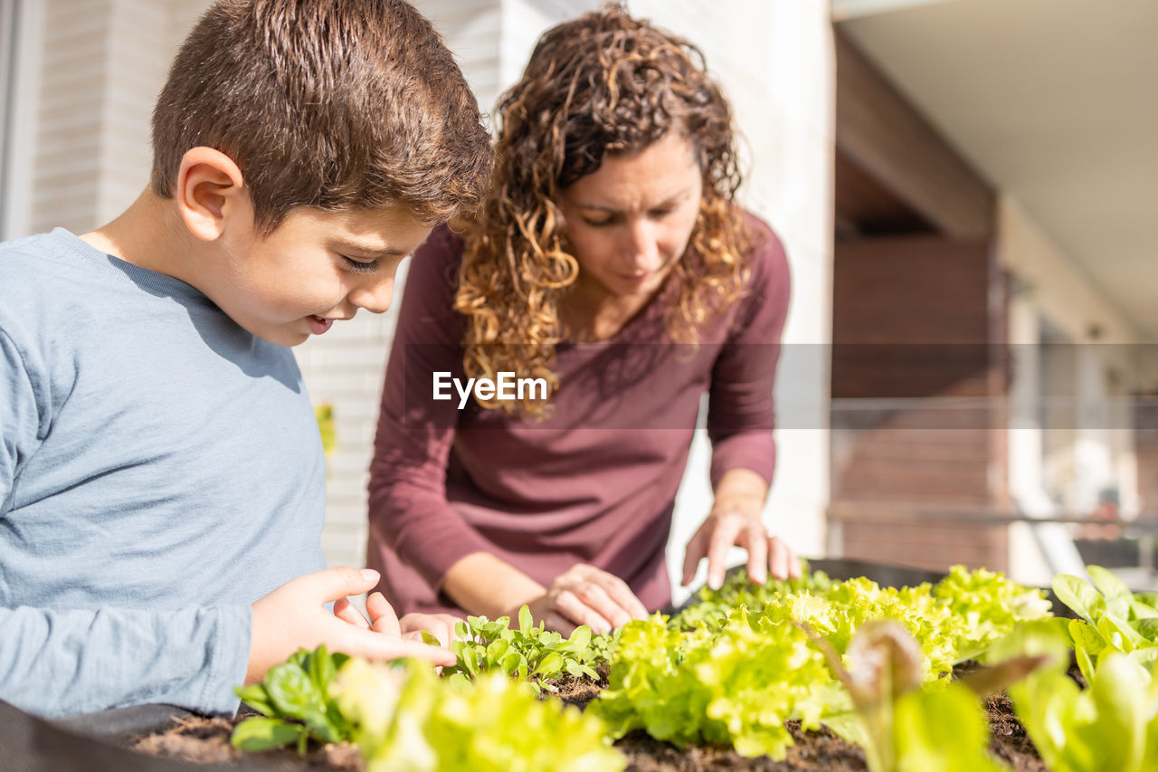 Mother and son working on a urban garden at home