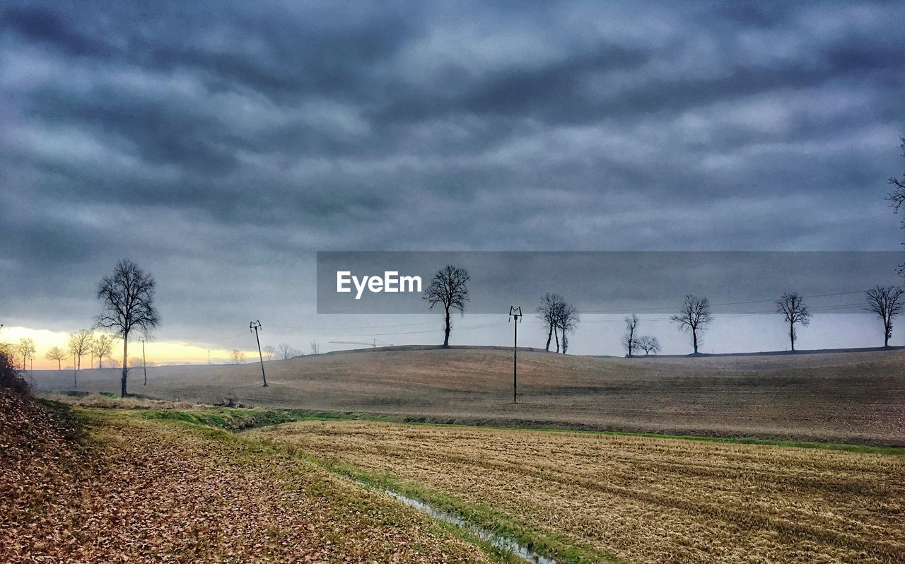 SCENIC VIEW OF FARM AGAINST SKY