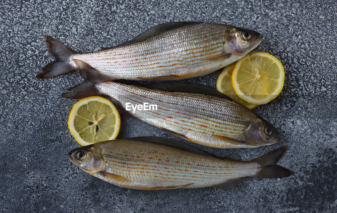 Freshly grayling lies on a gray surface with slices of lemon. preparation for cooking.