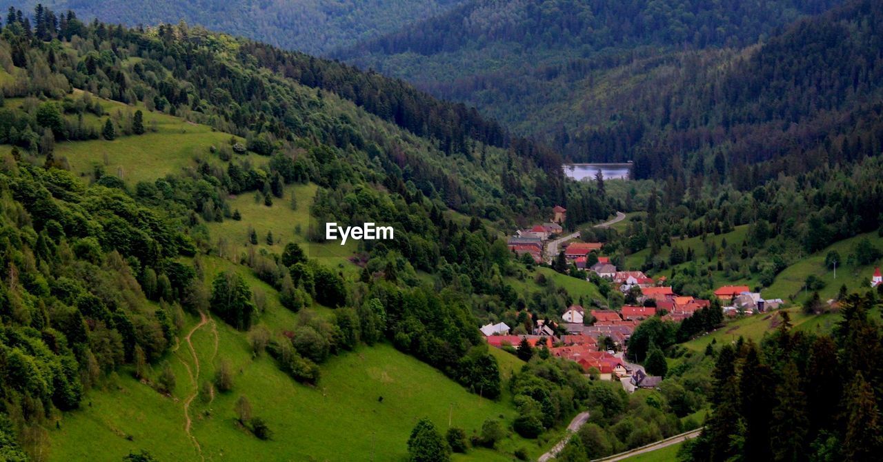 High angle view of trees and houses on mountain