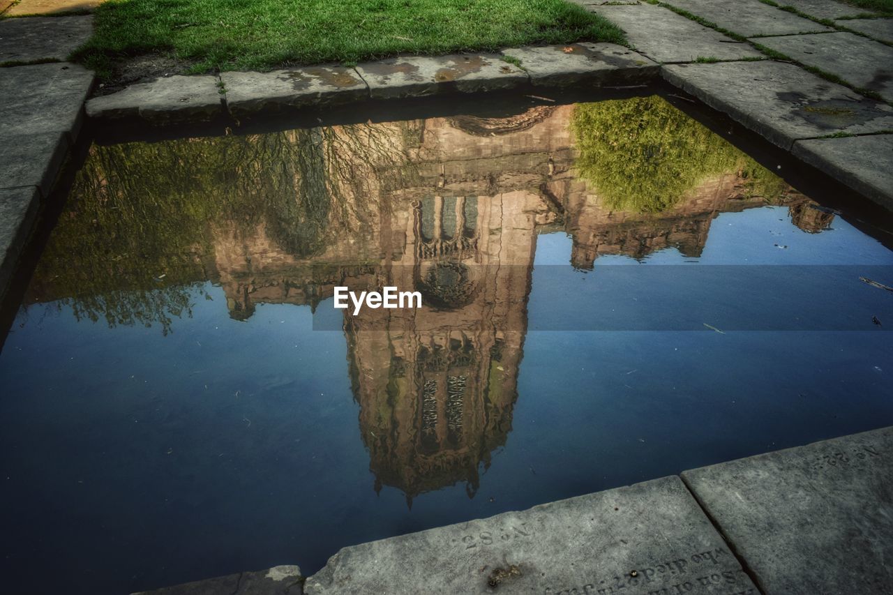 Reflection of trees on lake