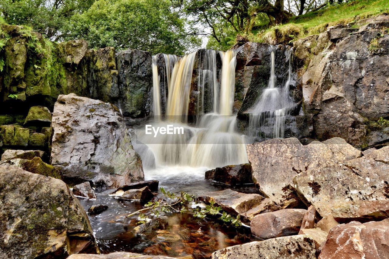 Scenic view of waterfall in forest